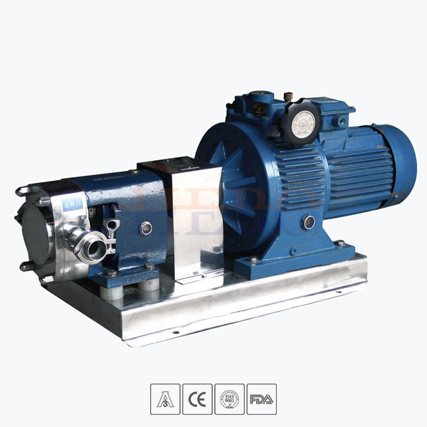 Sanitary-rotary-lobe-pump